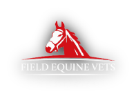 Field Equine Vets Treadmill